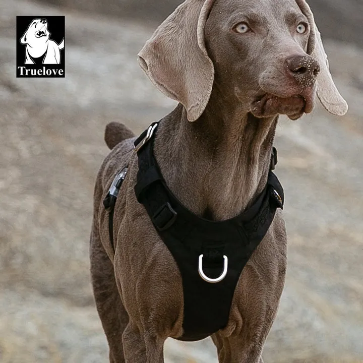 Lightweight Harness Black S For Dogs